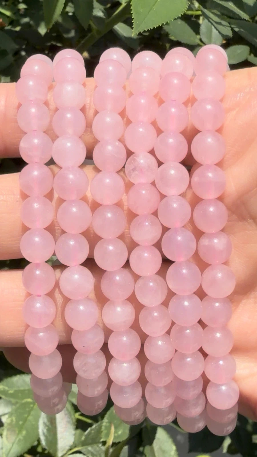 Wholesale 6 Pcs Natural Rose Quartz 6mm 7.5” Crystal Healing Stretch Bracelet