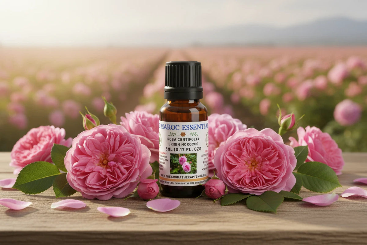 Rose Maroc ätherisches Öl