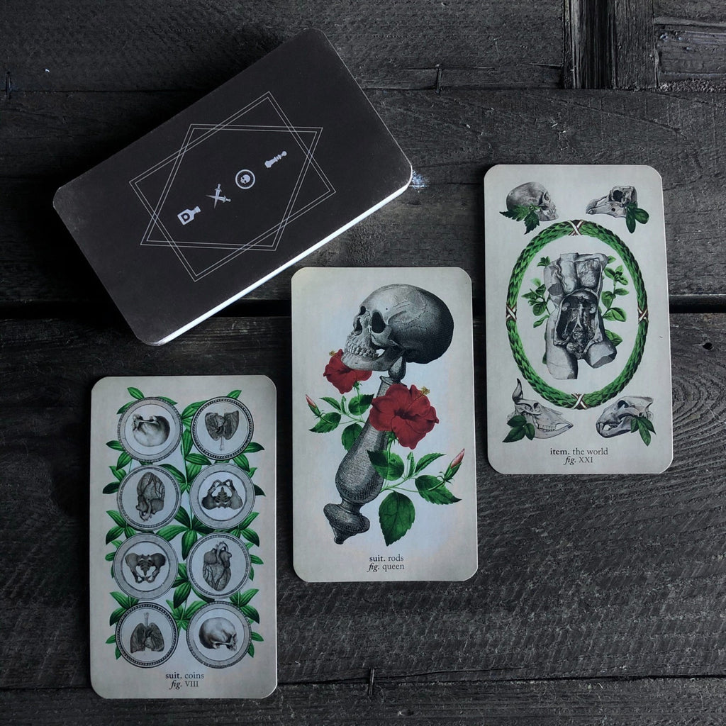 The Antique Anatomy Tarot Deck 78 Cards Vintage