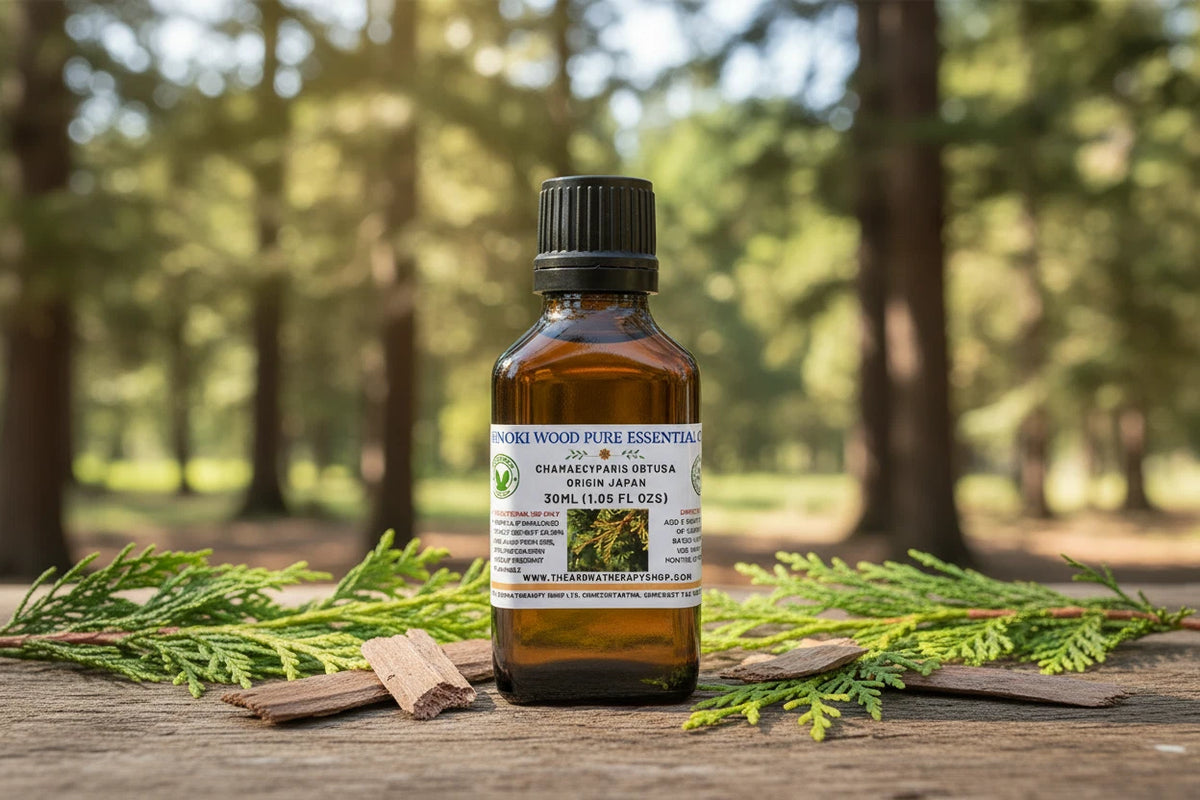 Hinoki Holz reines ätherisches Öl