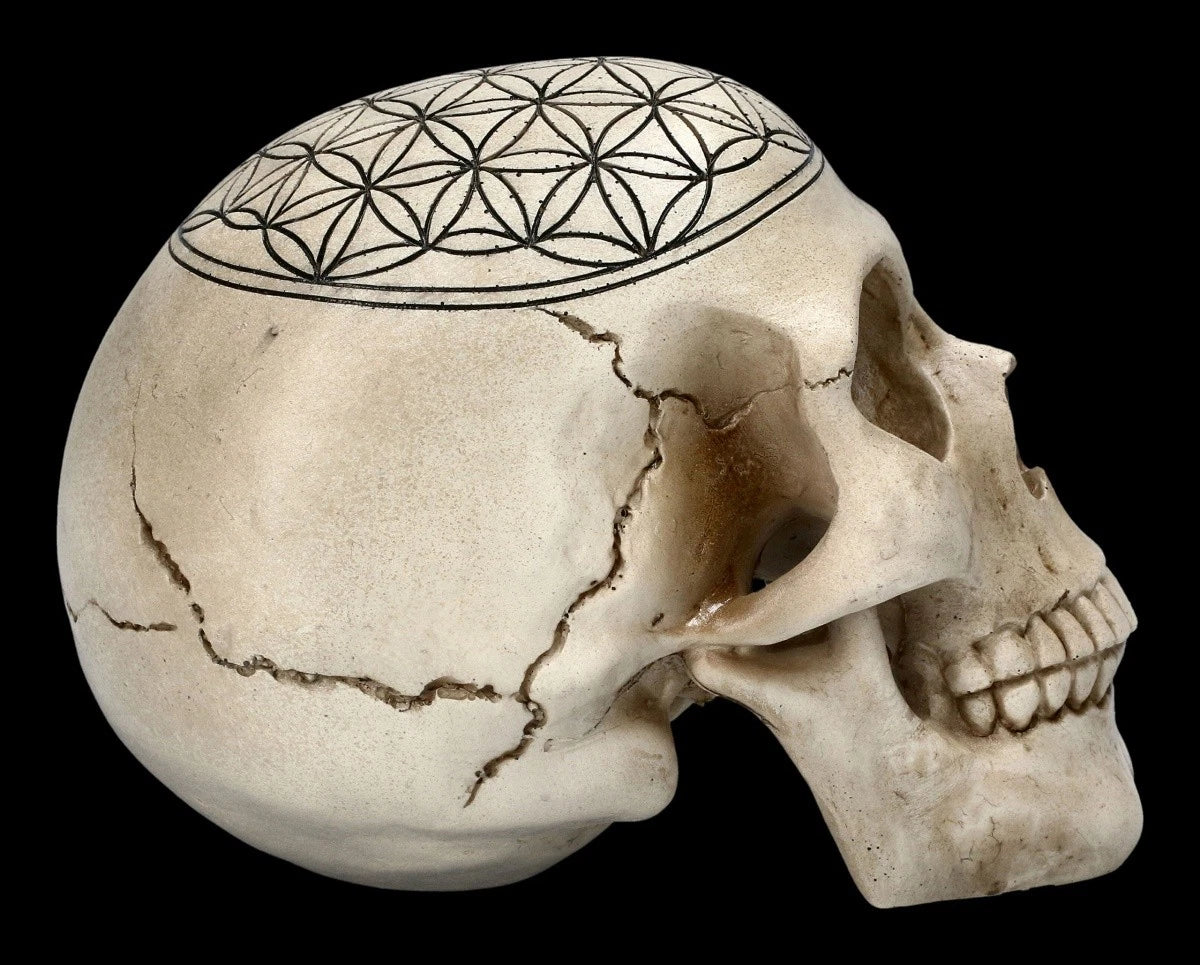 Totenkopf Heilige Geometrie - Blume des Lebens - spirituelle Schädel Figur - Dek