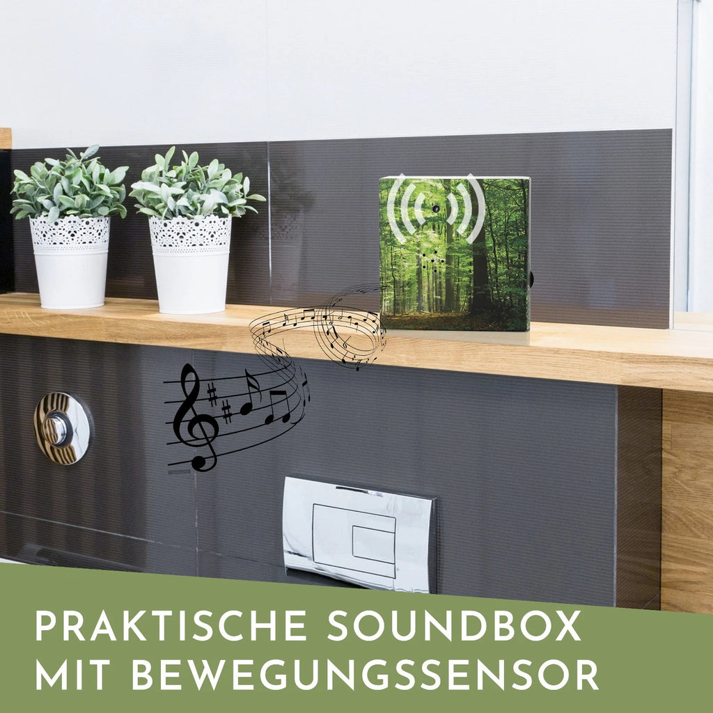 Nordstern Soundbox mit Naturklängen und Vogelgesang für Entspannung &amp; Ruhe